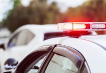 Survive Getting Pulled Over